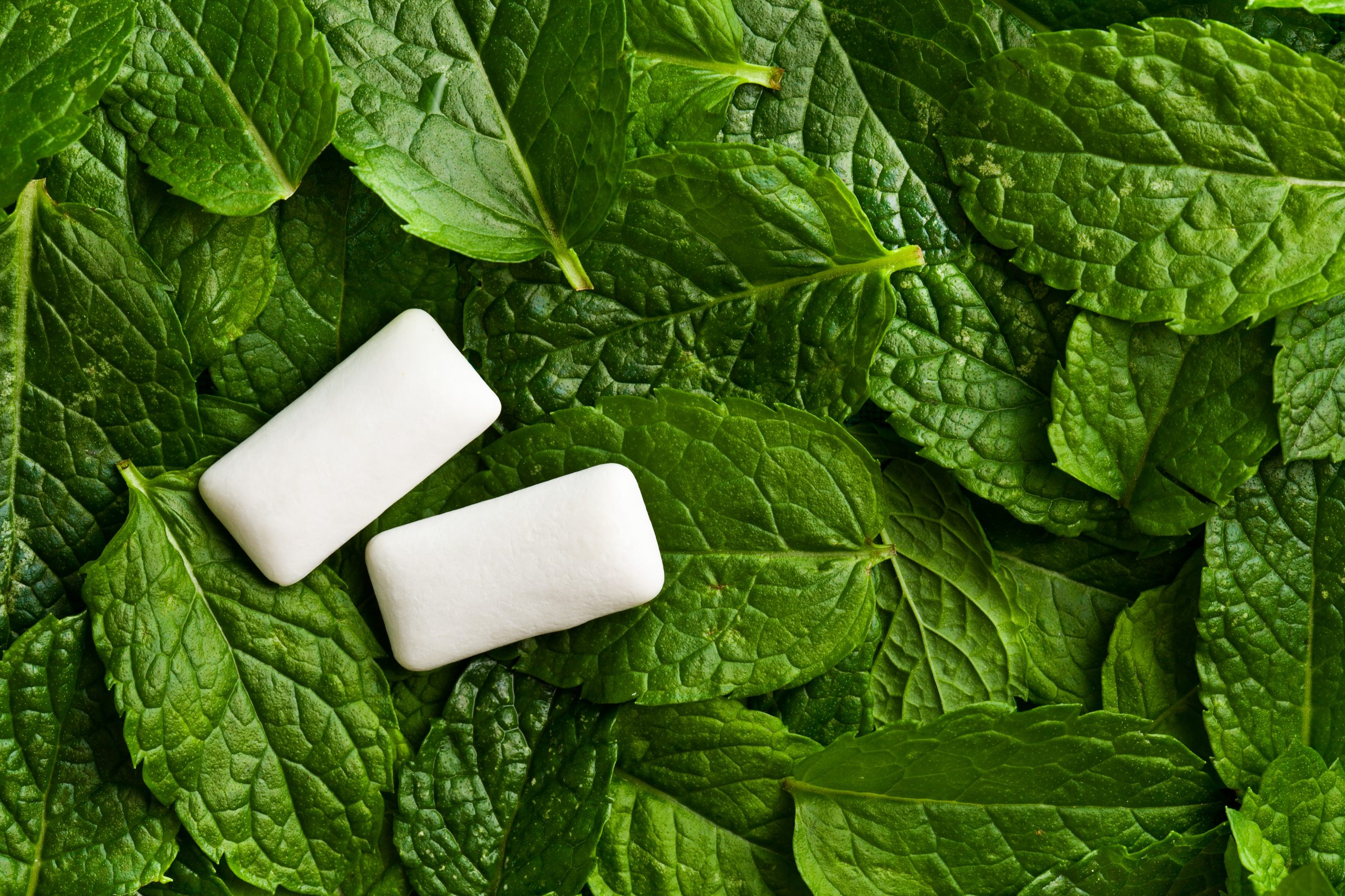 mint gum