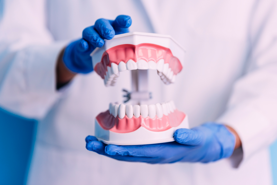 teeth grinding model